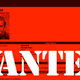 Illustration for article titled Interpol Hunting WikiLeaks Founder